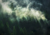 Komar Vlies Fototapete X7 1003 Misty Crowns | Yourdecoration.de