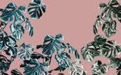 Komar Monstera Rose Vlies Fototapete 400x250cm 4-bahnen | Yourdecoration.de