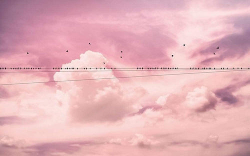 Komar Cloud Wire Vlies Fototapete 400x250cm 4-bahnen | Yourdecoration.de