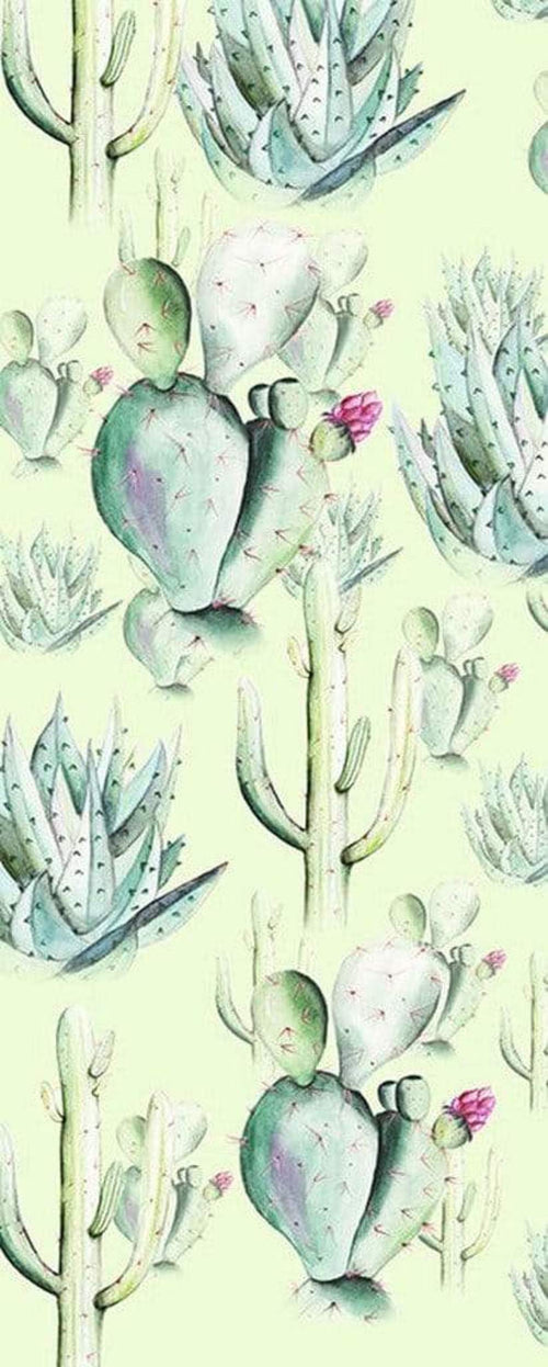 Komar Cactus Green Vlies Fototapete 100x250cm 1-bahn | Yourdecoration.de