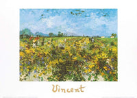 Vincent Van Gogh - The Green Vineyard Kunstdruck 70x50cm | Yourdecoration.de