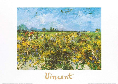 Vincent Van Gogh - The Green Vineyard Kunstdruck 70x50cm | Yourdecoration.de