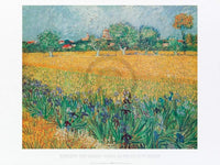 Vincent Van Gogh - Vista di Arles Con Irises Kunstdruck 80x60cm | Yourdecoration.de