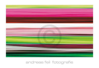 Andreas Feil - Fotografie II Kunstdruck 138x95cm | Yourdecoration.de