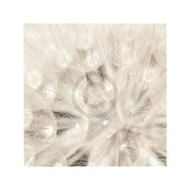 Adam Brock - On the Breeze Kunstdruck 51x51cm | Yourdecoration.de