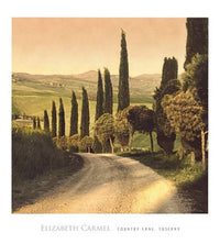 Elisabeth Carmel - Country Lane, Tuscany Kunstdruck 45x50cm | Yourdecoration.de