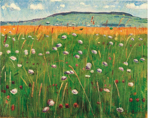 Ferdinand Hodler - WiesenstÃ¼ck 1900/1902 Kunstdruck 60x48cm | Yourdecoration.de