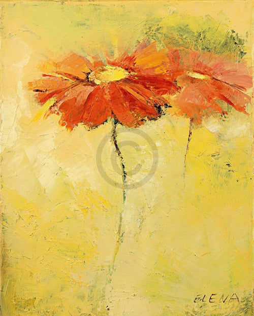 Elena Filatov - Feldblumen I Kunstdruck 40x50cm | Yourdecoration.de