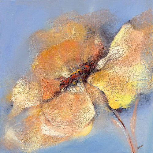 Elena Filatov - Bright Anemone I Kunstdruck 50x50cm | Yourdecoration.de