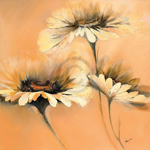 Elena Filatov - Apricot Summer I Kunstdruck 70x70cm | Yourdecoration.de