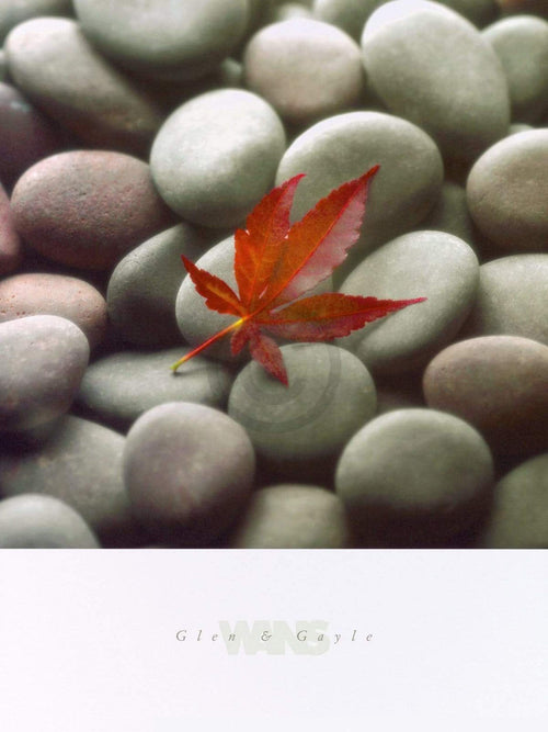 Glen & Gale Wans - Leaf on Stone Kunstdruck 45x61cm | Yourdecoration.de