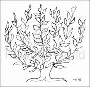 Henri Matisse - Le platane Kunstdruck 100x100cm | Yourdecoration.de