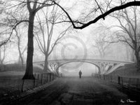 Henri Silberman - Gothic Bridge, Central Park NYC Kunstdruck 80x60cm | Yourdecoration.de