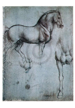 Leonardo Da Vinci - Studio di cavalli Kunstdruck 35x50cm | Yourdecoration.de