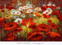 Lucas Santini - Meadow Poppies II Kunstdruck 91x66cm | Yourdecoration.de
