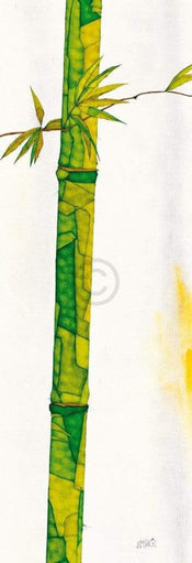 Michael Ferner - Bambus Duo II Kunstdruck 34x99cm | Yourdecoration.de