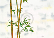 Michael Ferner - Bambus Kunstdruck 70x50cm | Yourdecoration.de