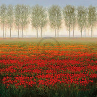 Park - Morning Mist Kunstdruck 68x68cm | Yourdecoration.de