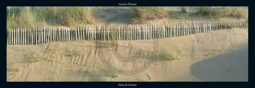 Laurent Pinsard - Dune de Carteret Kunstdruck 95x33cm | Yourdecoration.de