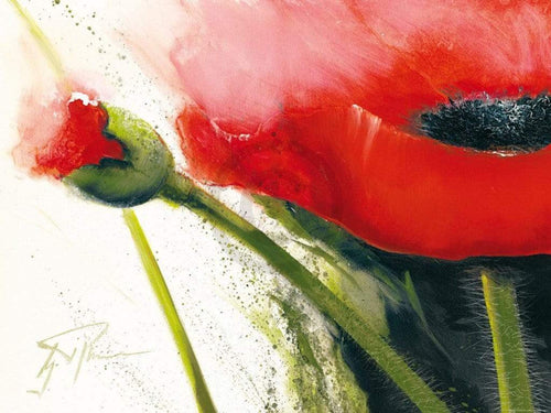 Gerd Pflumm - Faszination Mohn I Kunstdruck 80x60cm | Yourdecoration.de