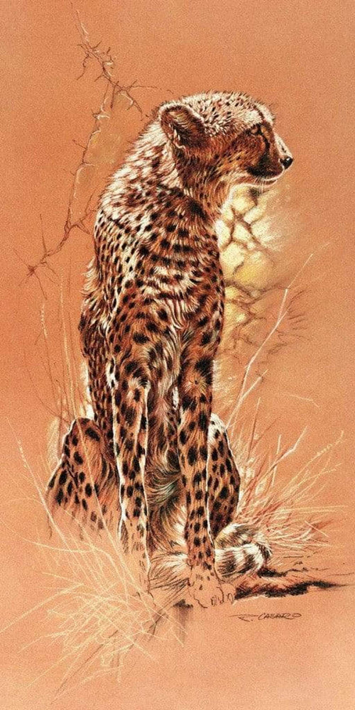Renato Casaro - Cheetah Kunstdruck 50x100cm | Yourdecoration.de