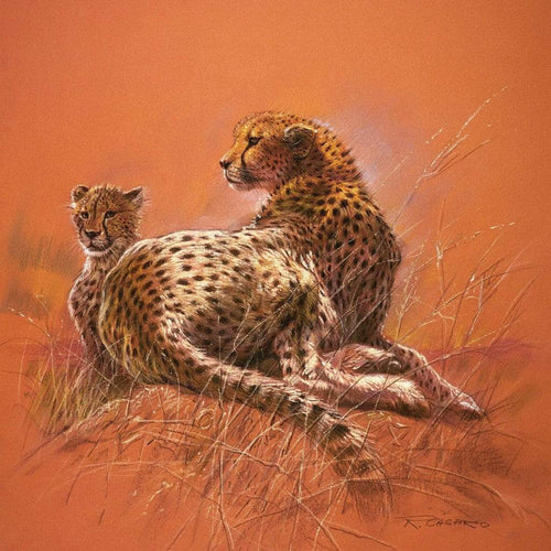 Renato Casaro - Cheetah Mother Kunstdruck 50x50cm | Yourdecoration.de