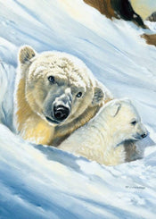 Renato Casaro - EisbÃ¤r-Mama Kunstdruck 50x70cm | Yourdecoration.de