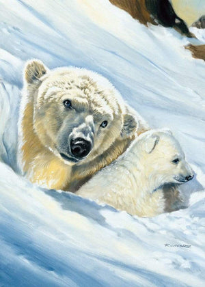 Renato Casaro - EisbÃ¤r-Mama Kunstdruck 50x70cm | Yourdecoration.de