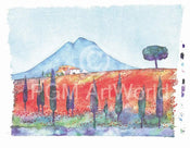 Ralf Westphal - Soracte mit Mohnfeld/Latium Kunstdruck 90x70cm | Yourdecoration.de