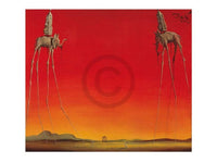 Salvador Dali - Les Elephants Kunstdruck 80x60cm | Yourdecoration.de