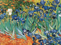 Vincent Van Gogh - Iris Kunstdruck 80x60cm | Yourdecoration.de