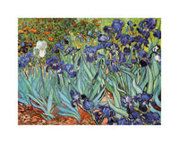 Vincent Van Gogh - Iris Kunstdruck 30x24cm | Yourdecoration.de