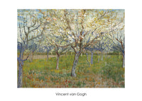 Vincent Van Gogh - The Orchard Kunstdruck 70x50cm | Yourdecoration.de