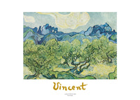 Vincent Van Gogh - Landscapes with olive trees Kunstdruck 70x50cm | Yourdecoration.de
