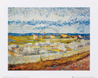 Vincent Van Gogh - Pesco in fiore Kunstdruck 30x24cm | Yourdecoration.de