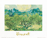 Vincent Van Gogh - Landscapes with olive trees Kunstdruck 30x24cm | Yourdecoration.de