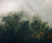 Komar Tales of the Carpathians Vlies Fototapete 300x250cm 3-bahnen | Yourdecoration.de