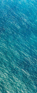 Komar Blaupause Vlies Fototapete 100x250cm 1-bahn | Yourdecoration.de