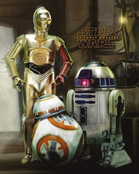 Pyramid Star Wars Episode VII Droids Poster 40x50cm | Yourdecoration.de