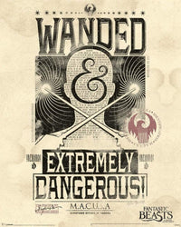 Pyramid Fantastic Beasts Extremely Dangerous Poster 40x50cm | Yourdecoration.de
