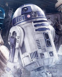 Pyramid Star Wars the Last Jedi R2-D2 Droid Poster 40x50cm | Yourdecoration.de