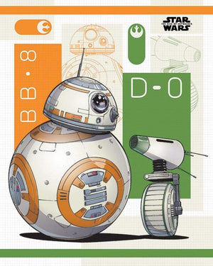 Pyramid Star Wars The Rise of Skywalker BB-8 and D-0 Poster 40x50cm | Yourdecoration.de