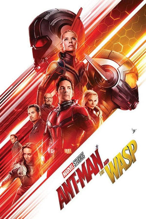 Pyramid Ant-Man and the Wasp One Sheet Poster 61x91,5cm | Yourdecoration.de