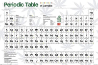 Pyramid Periodic Table Cannabis Poster 61x91,5cm | Yourdecoration.de