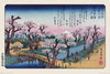 Poster Hiroshige Mount Fuji Koganei Bridge 61x91 5cm Pyramid PP34637 | Yourdecoration.de