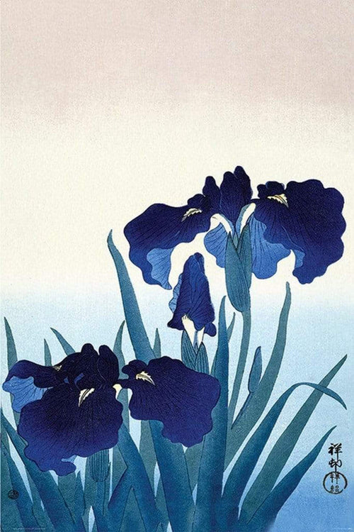 Pyramid Ohara Koson Iris Flowers Poster 61x91,5cm | Yourdecoration.de