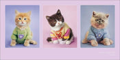 Pyramid Rachael Hale Kitty Couture Kunstdruck 50x100cm | Yourdecoration.de