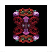 Pyramid Alyson Fennell Paradise of Petals Kunstdruck 60x60cm | Yourdecoration.de