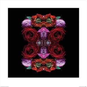 Pyramid Alyson Fennell Paradise of Petals Kunstdruck 60x60cm | Yourdecoration.de