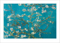 Pyramid Van Gogh Almond Blossom San Ramy 1890 Kunstdruck 50x70cm | Yourdecoration.de